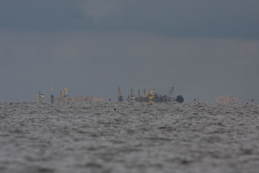 De bouw van de Marker Wadden en aalscholver